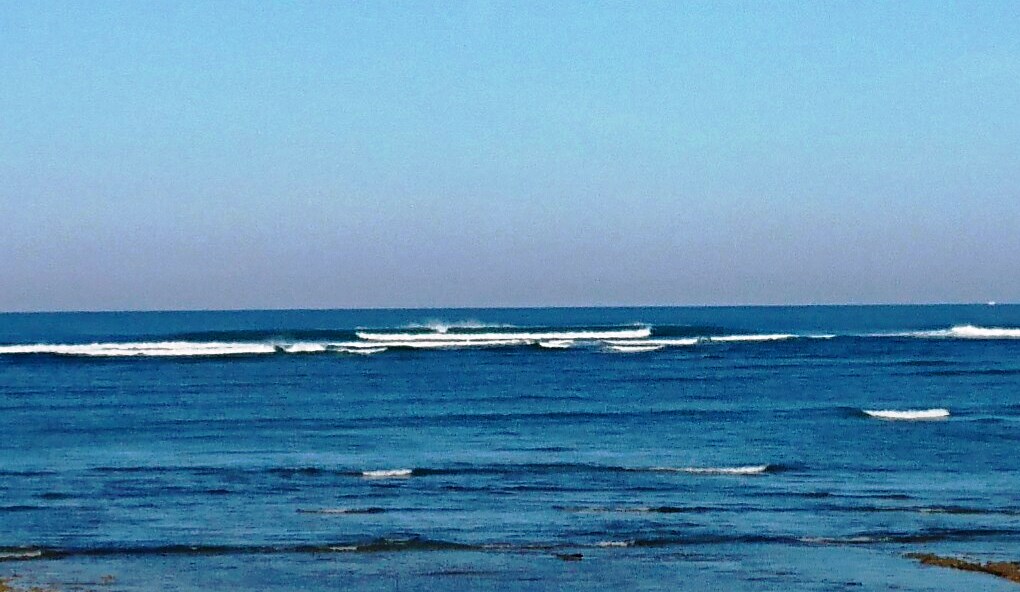 _20170923_100259.JPG