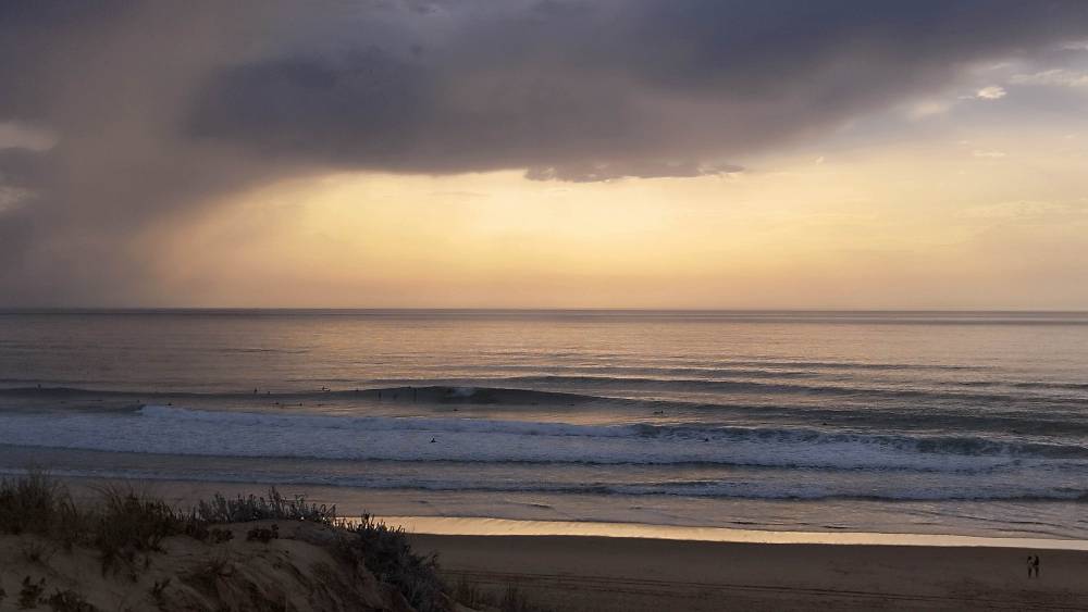 IMG_20250919_185949.jpg IMG_20250919_185949.jpg