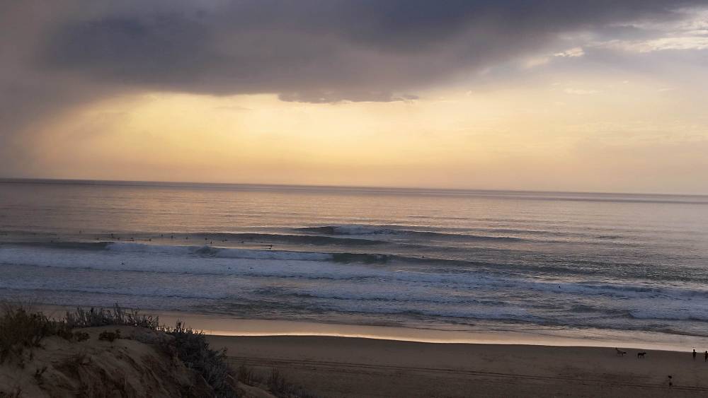 IMG_20250919_185902.jpg IMG_20250919_185902.jpg