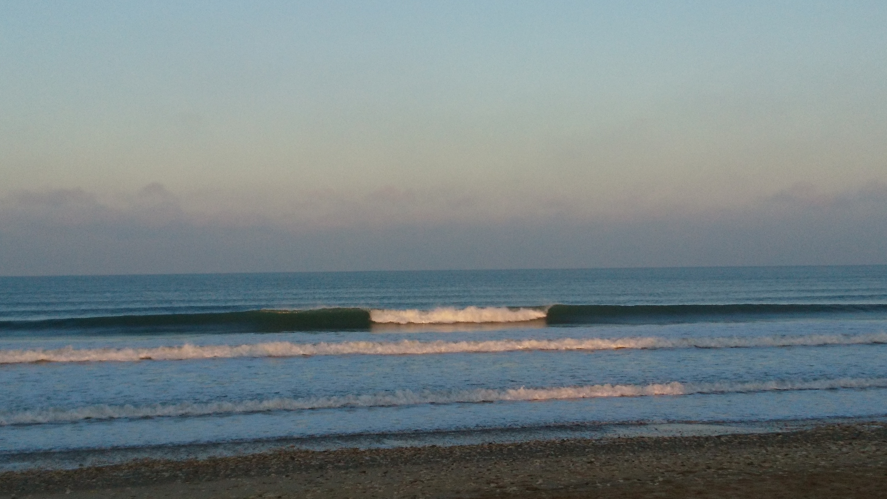 DSC_0767.jpg
