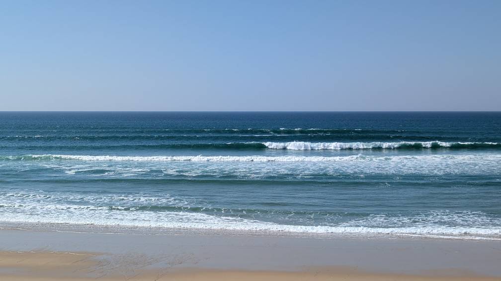 PXL_20260320_132204787.jpg PXL_20260320_132204787.jpg