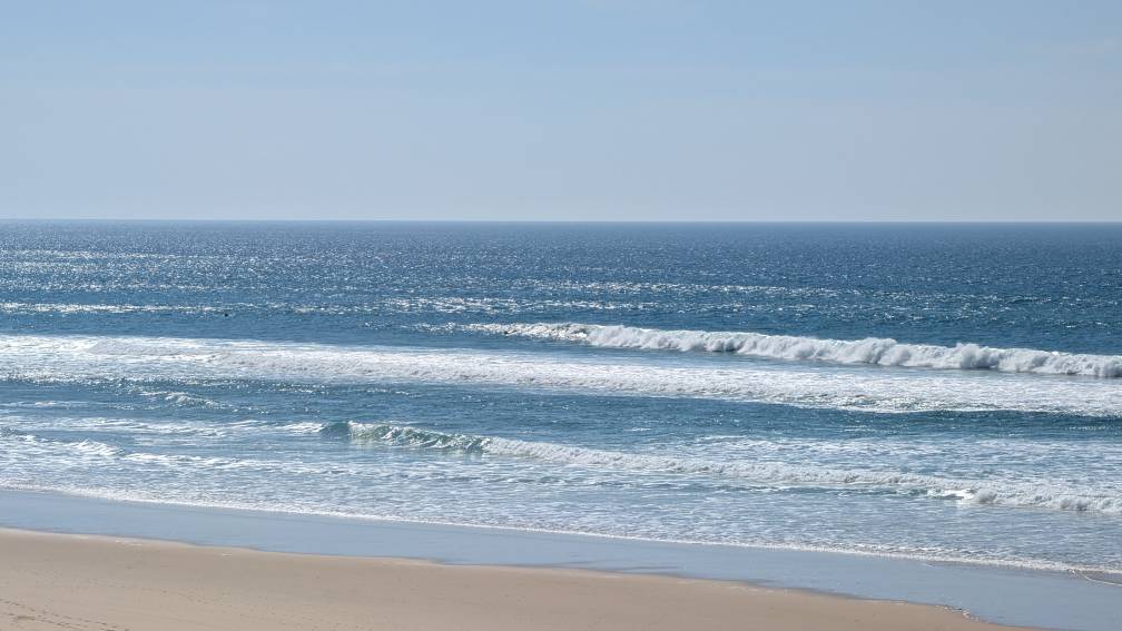 PXL_20260320_131746874.jpg PXL_20260320_131746874.jpg