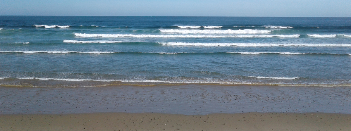 Là ça placarde un peu trop lol / 20170923-avant-devant.jpg 20170923-avant-devant.jpg