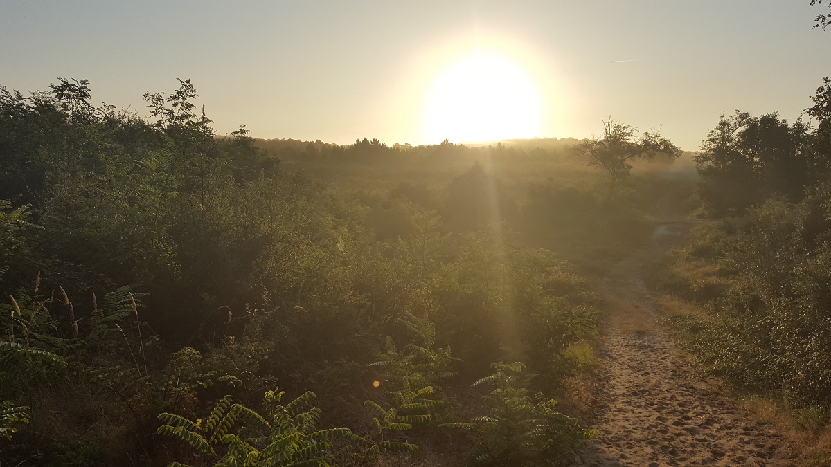 20180815_074402.jpg