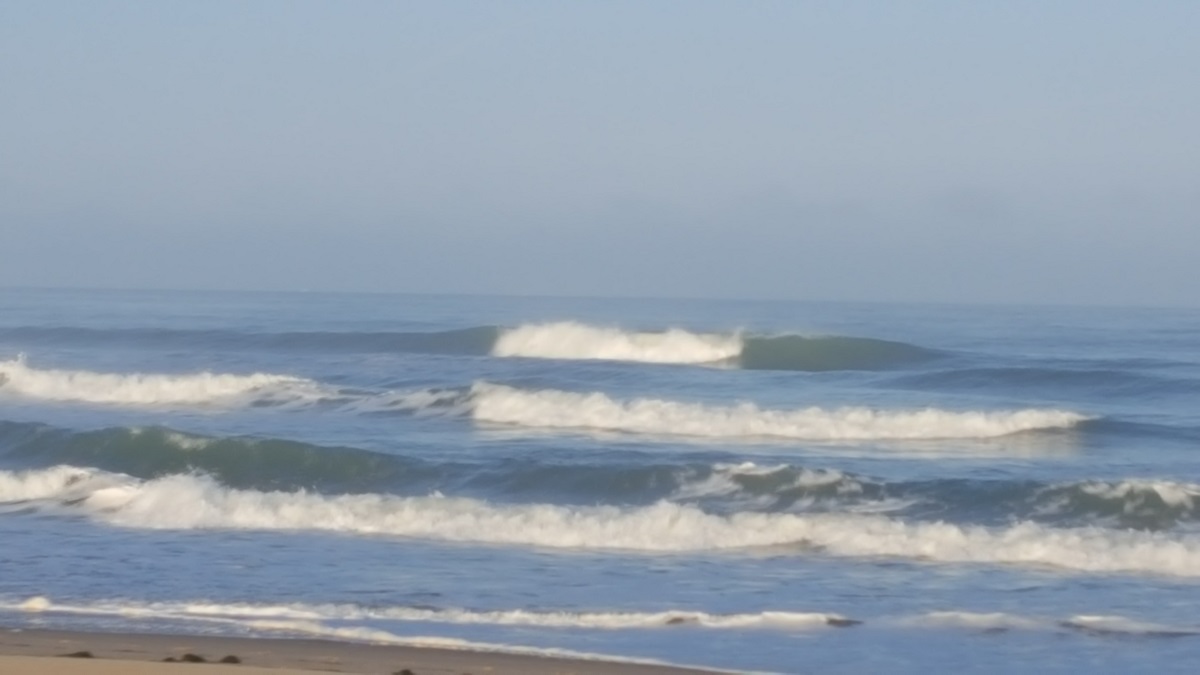 20180815_080705.jpg