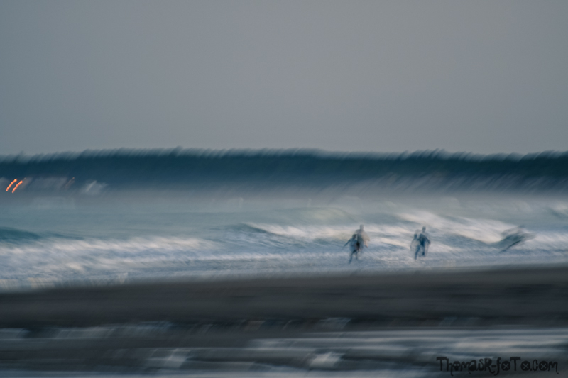 V_18082018_800px-2.jpg