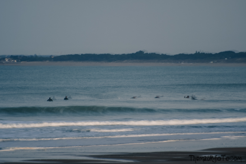 V_18082018_800px-4.jpg
