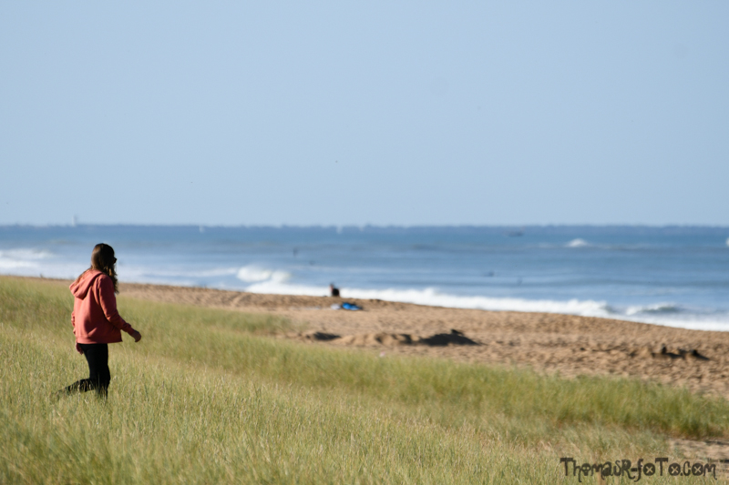 V_18082018_800px-9.jpg