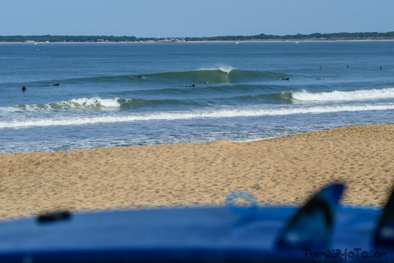 V_18082018_800px-11.jpg