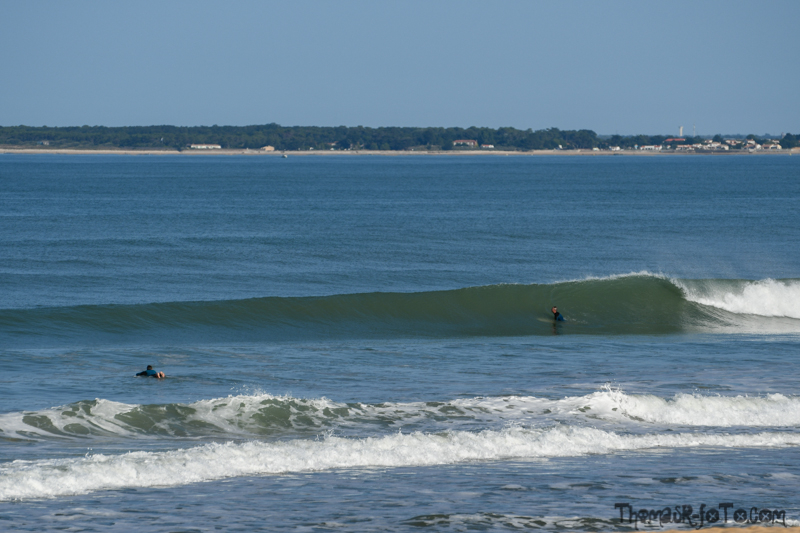 V_18082018_800px-14.jpg