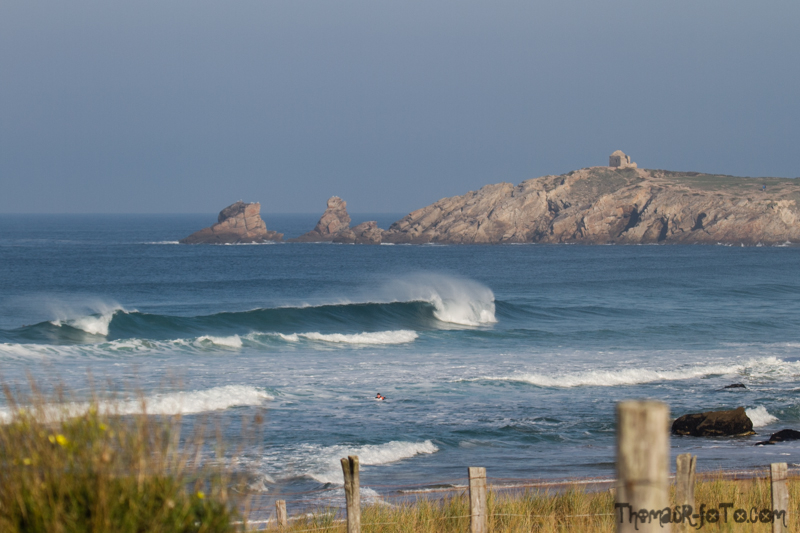 Q_141017_800px-1.jpg
