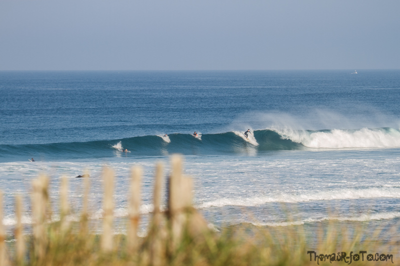 Q_141017_800px-2.jpg
