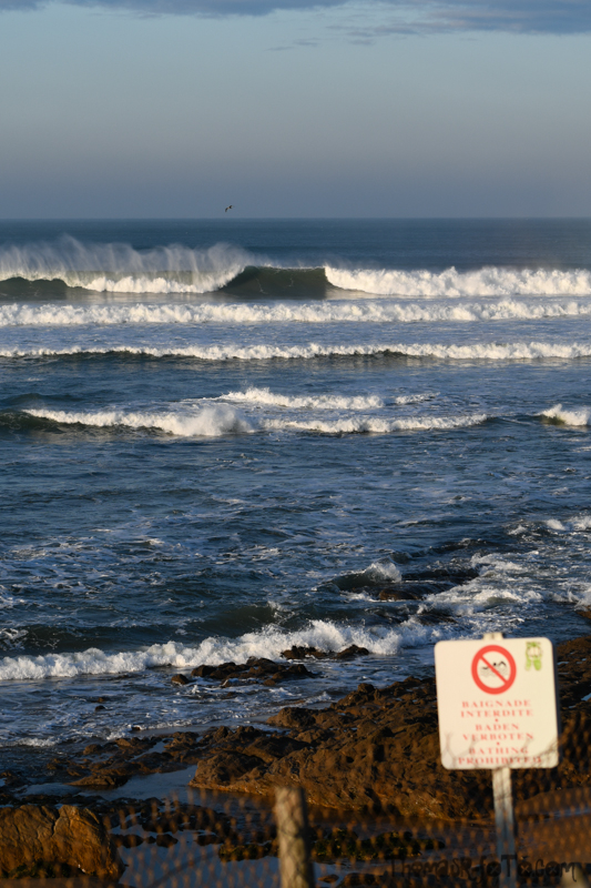 V_181118_800px-3.jpg