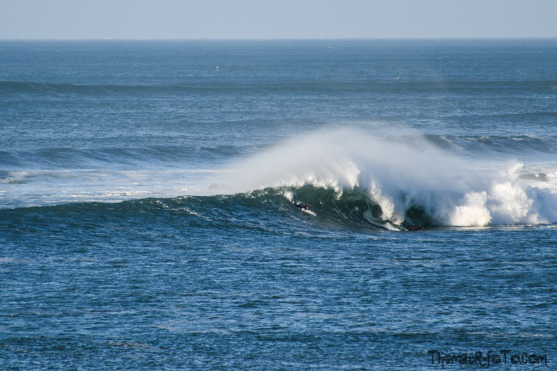 V_181118_800px-11.jpg