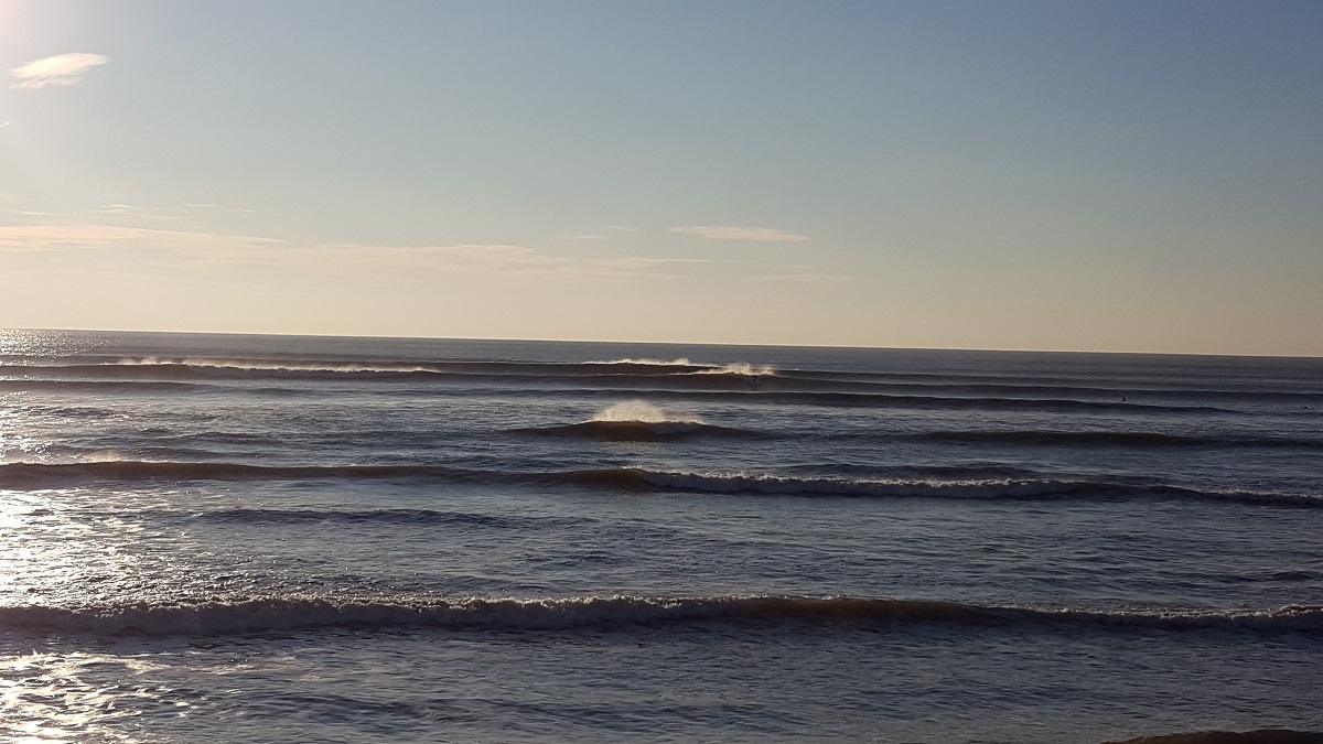 20181121_162233.jpg