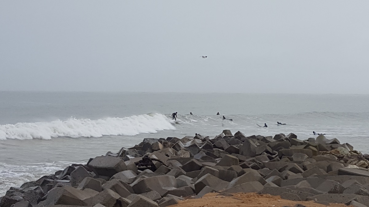 20181216_110850.jpg