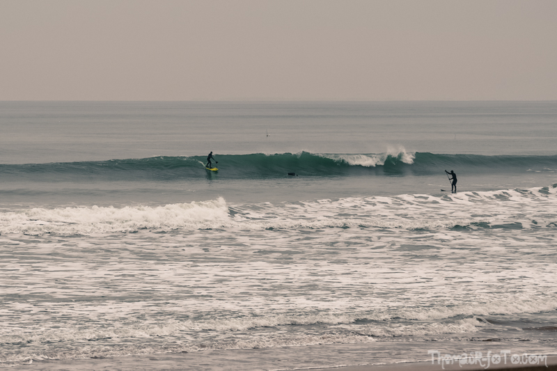 V_06012019_800px-1.jpg