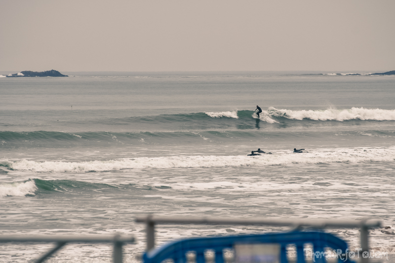 V_06012019_800px-5.jpg