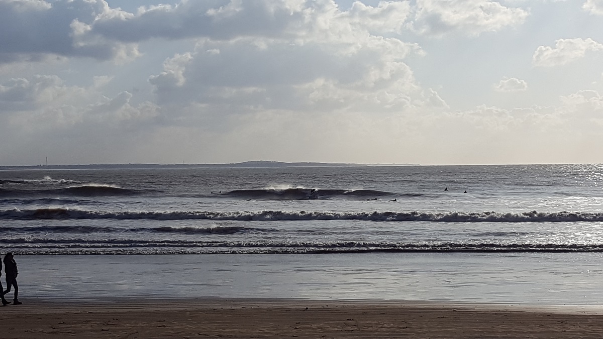 20190202_160512.jpg