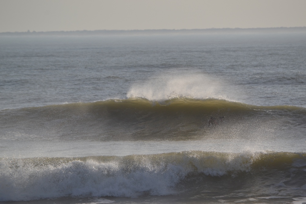 DSC_0917.JPG