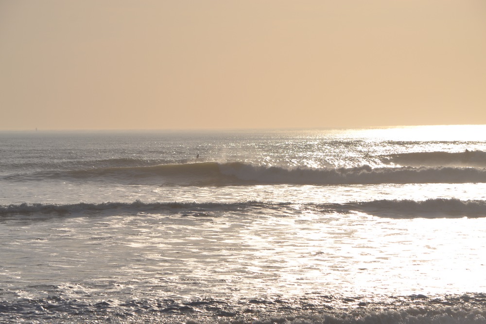 DSC_0971.JPG