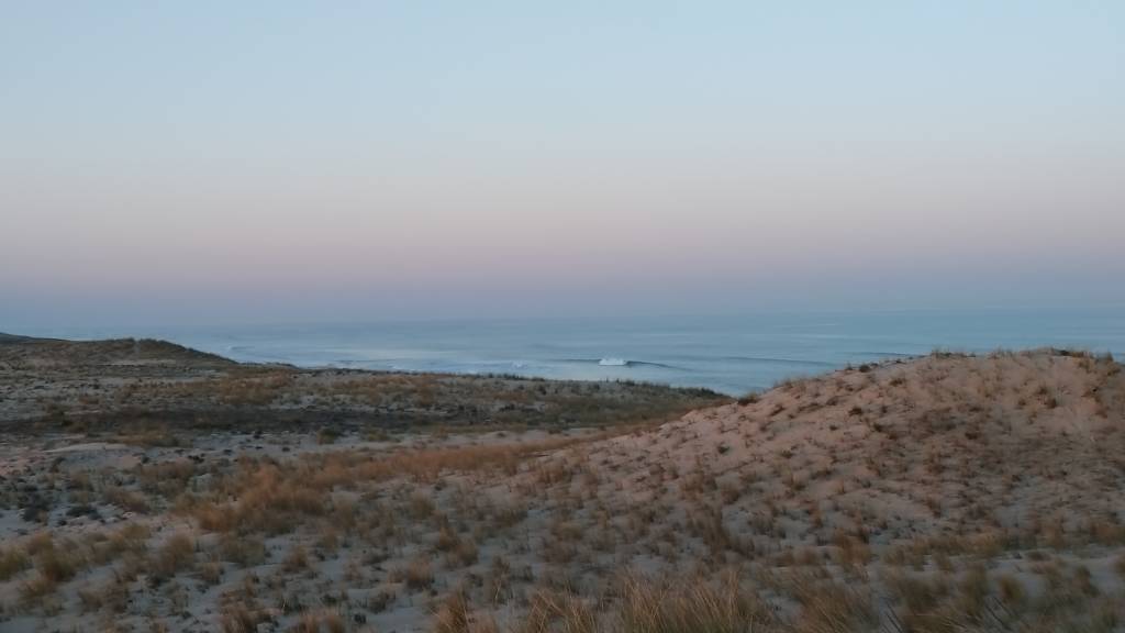 20190323_071254.jpeg