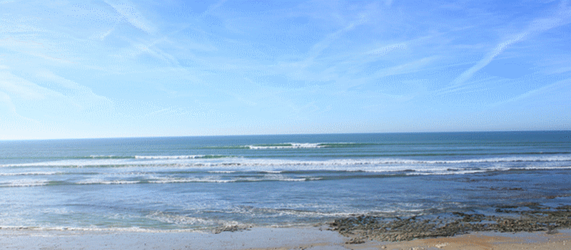 9.gif