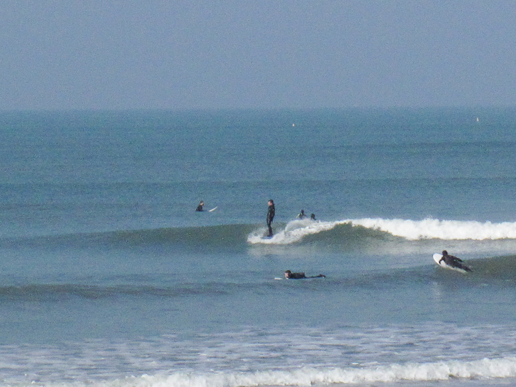 V_240319-5.jpg V_240319-5.jpg