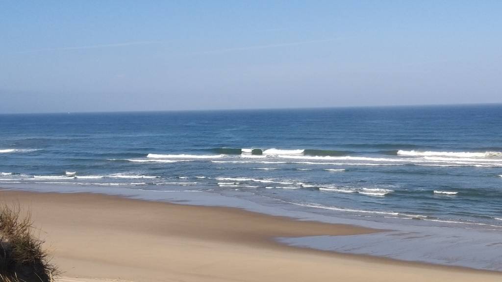 20190616_084131.jpeg