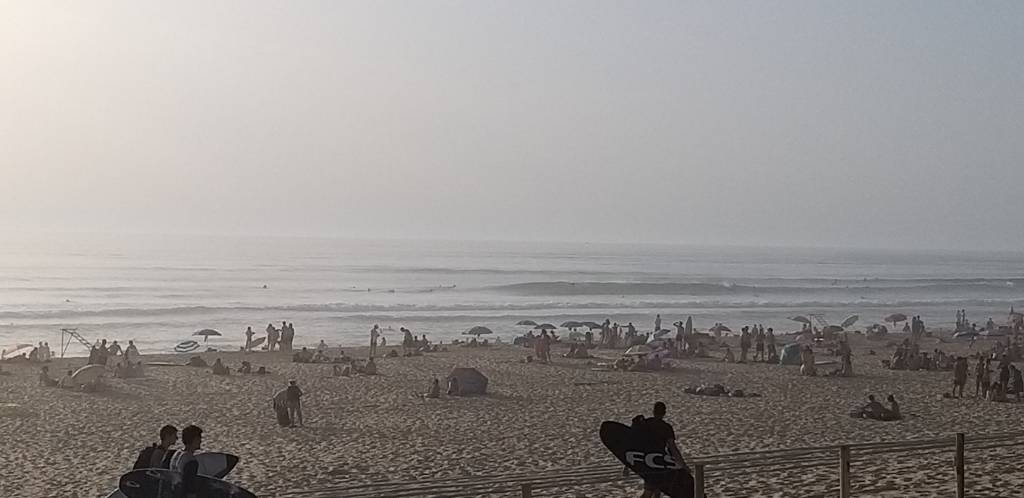 20190723_200906.jpeg