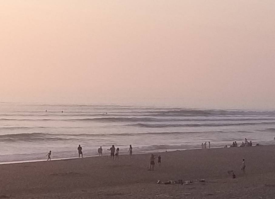 20190824_203013.jpeg