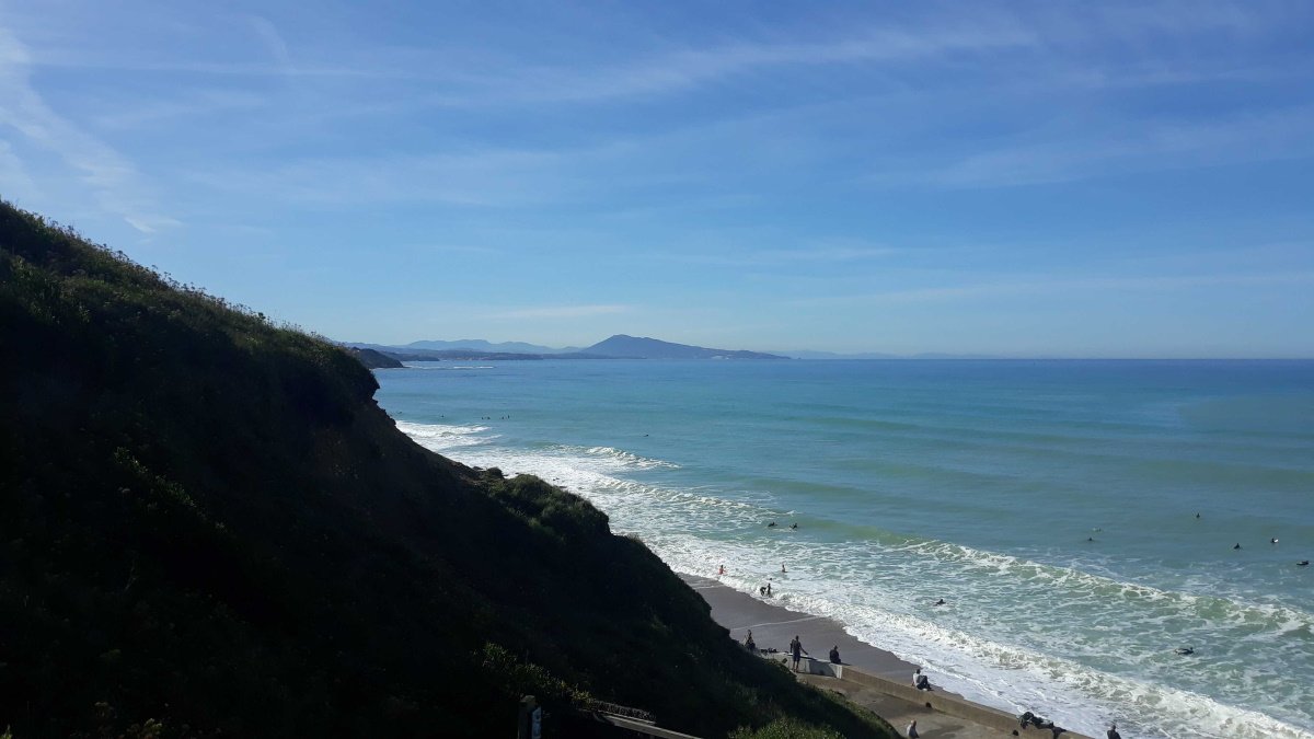 sfrp_20191025_133949.jpg
