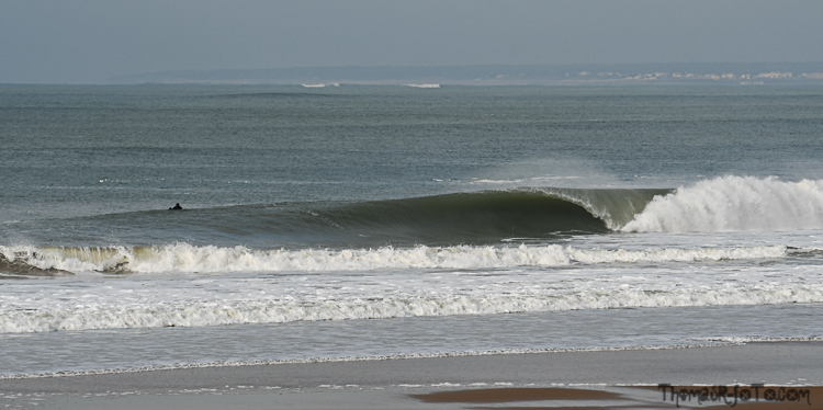 V_151119-3.jpg