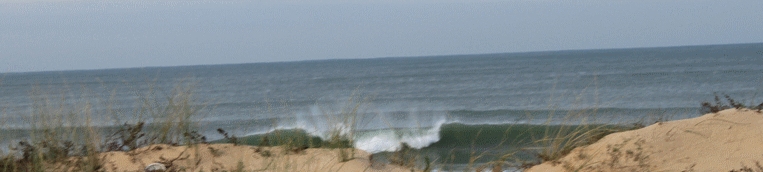 IMG_5983.gif