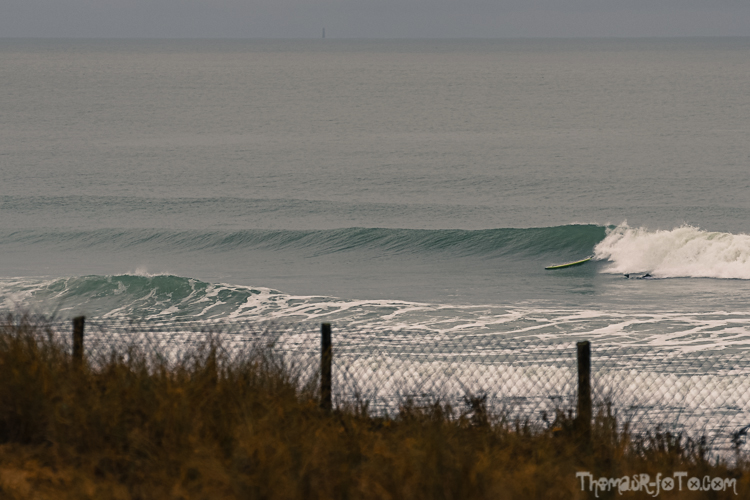 V_01122019-4.jpg