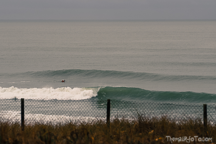 V_01122019-5.jpg