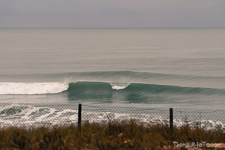 V_01122019-6.jpg