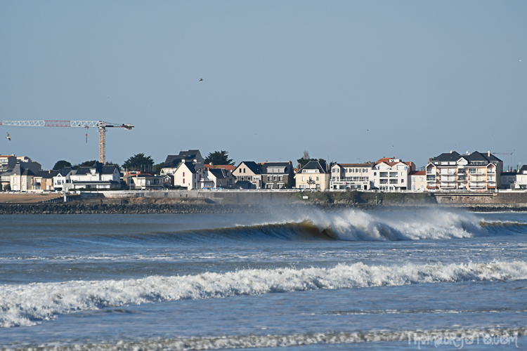 V_19012020-3.jpg