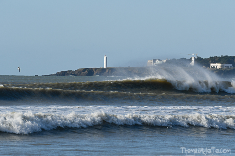 V_19012020-5.jpg