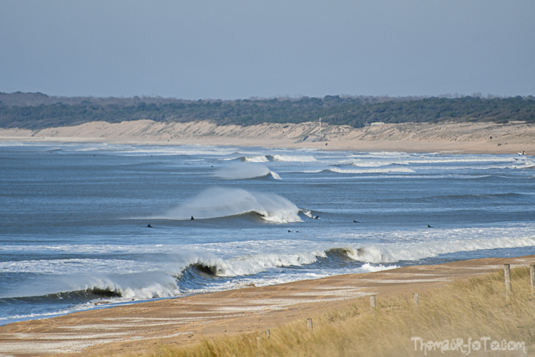 V_21012020-3.jpg