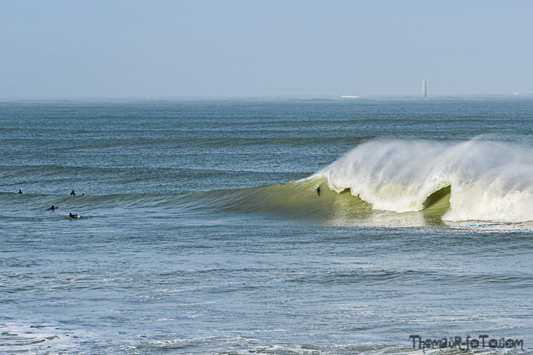 C_15022020-7.jpg