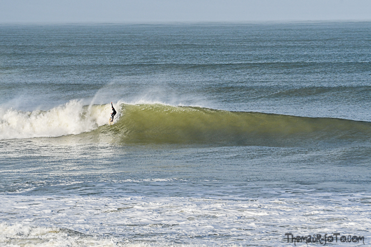 C_15022020-8.jpg