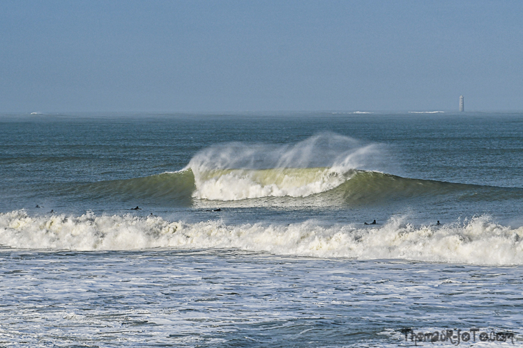 C_15022020-9.jpg