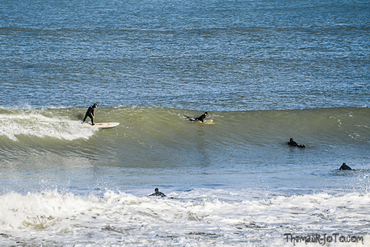C_15022020-10.jpg