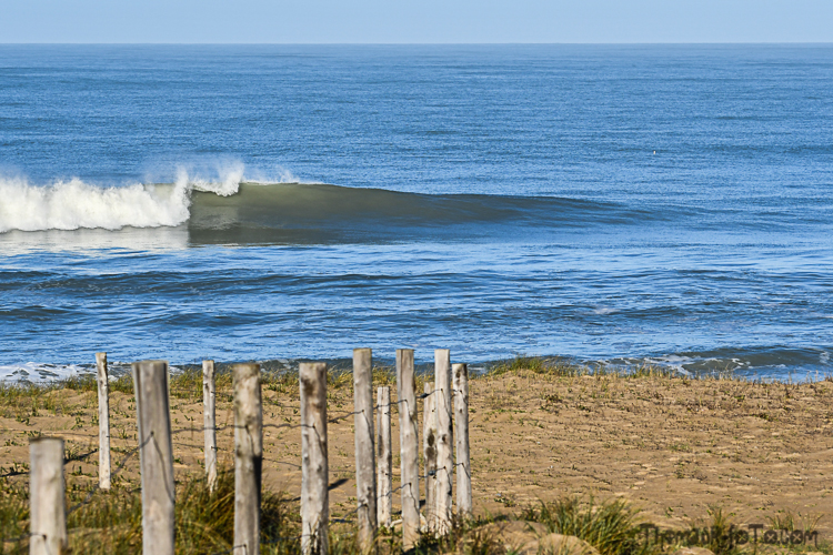 V_13032020-1.jpg