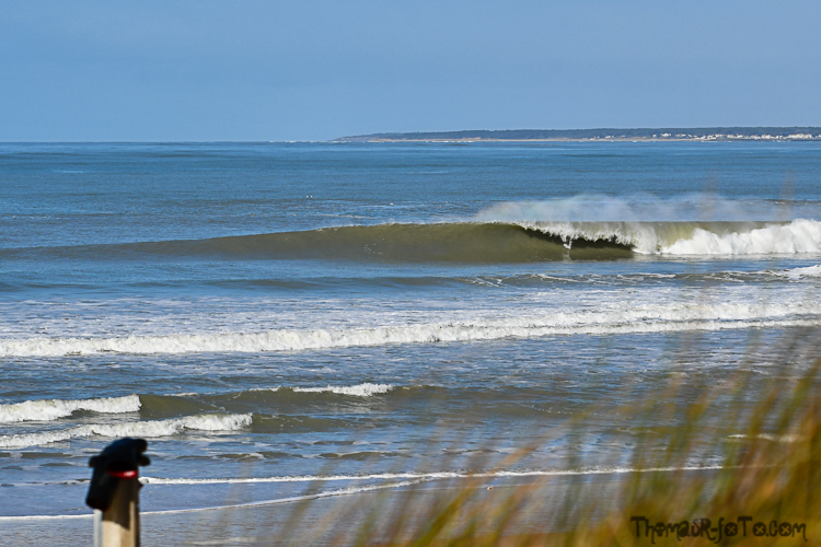 V_13032020-5.jpg