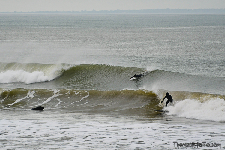 V_17032020-5.jpg
