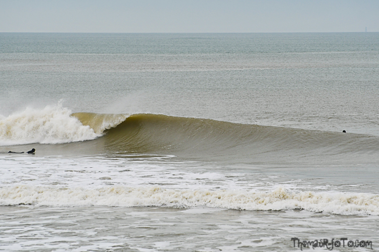 V_17032020-8.jpg