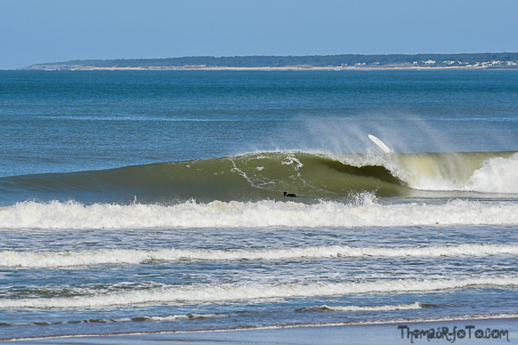 V_24052020-6.jpg