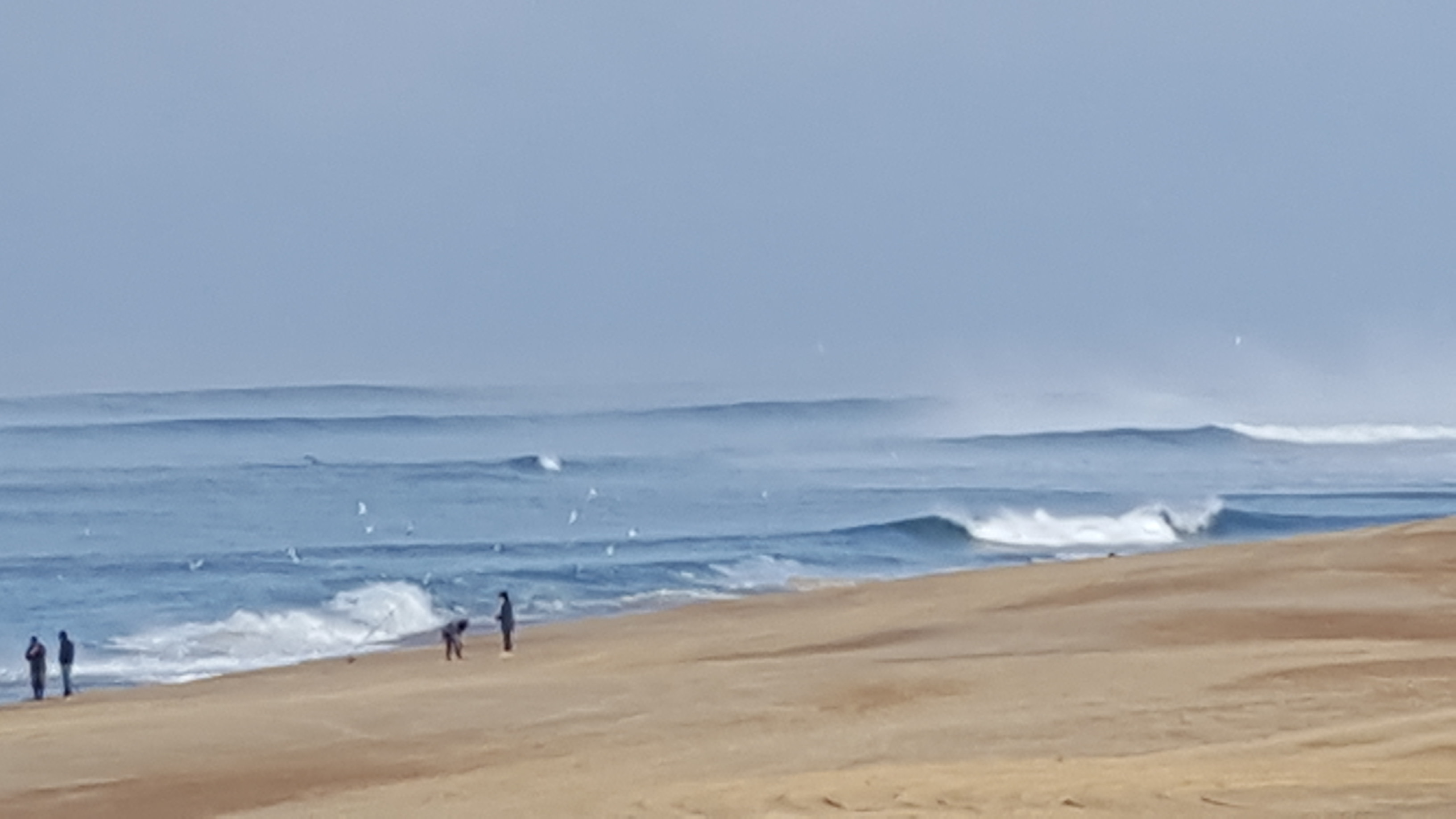 20171115_103104.jpg